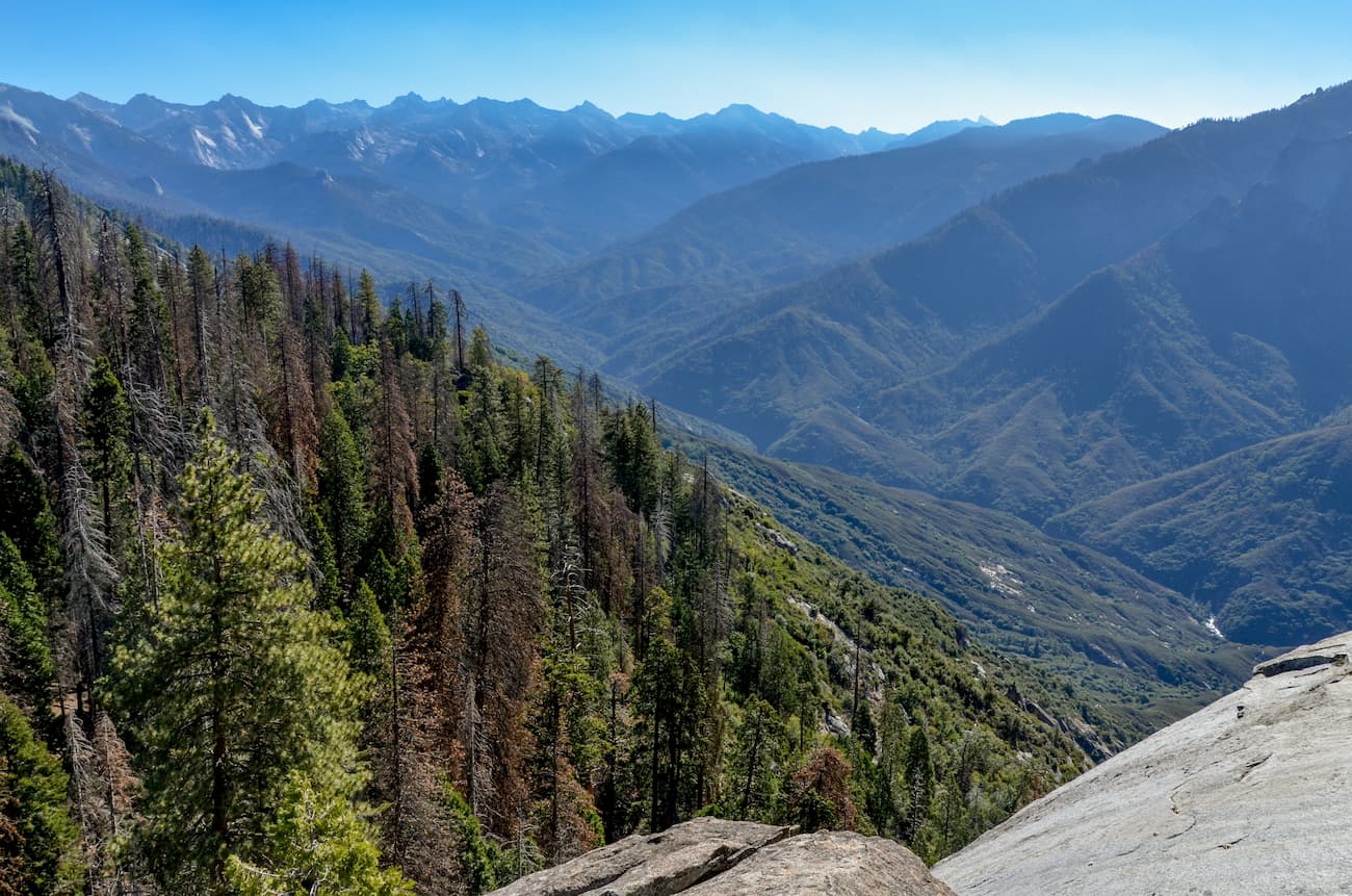 Giant Sequoia National Monument, California