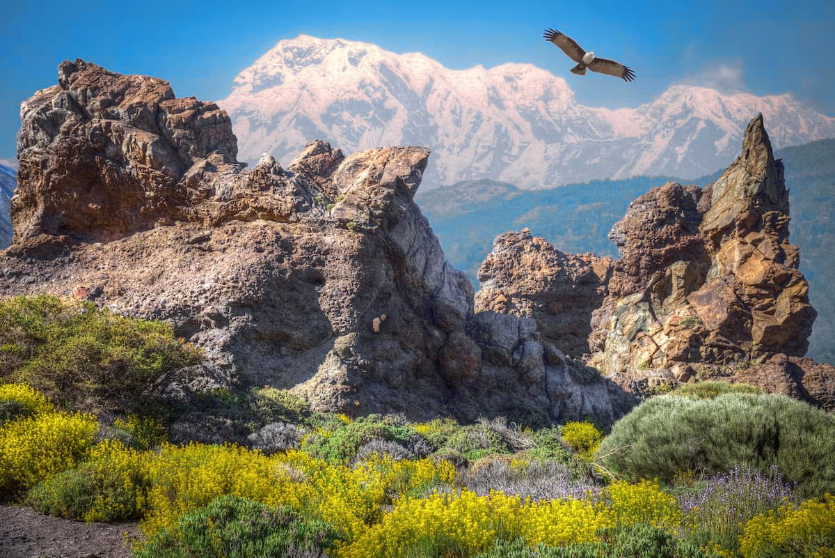 Eagle flies over the mountains and roads. Himalayas