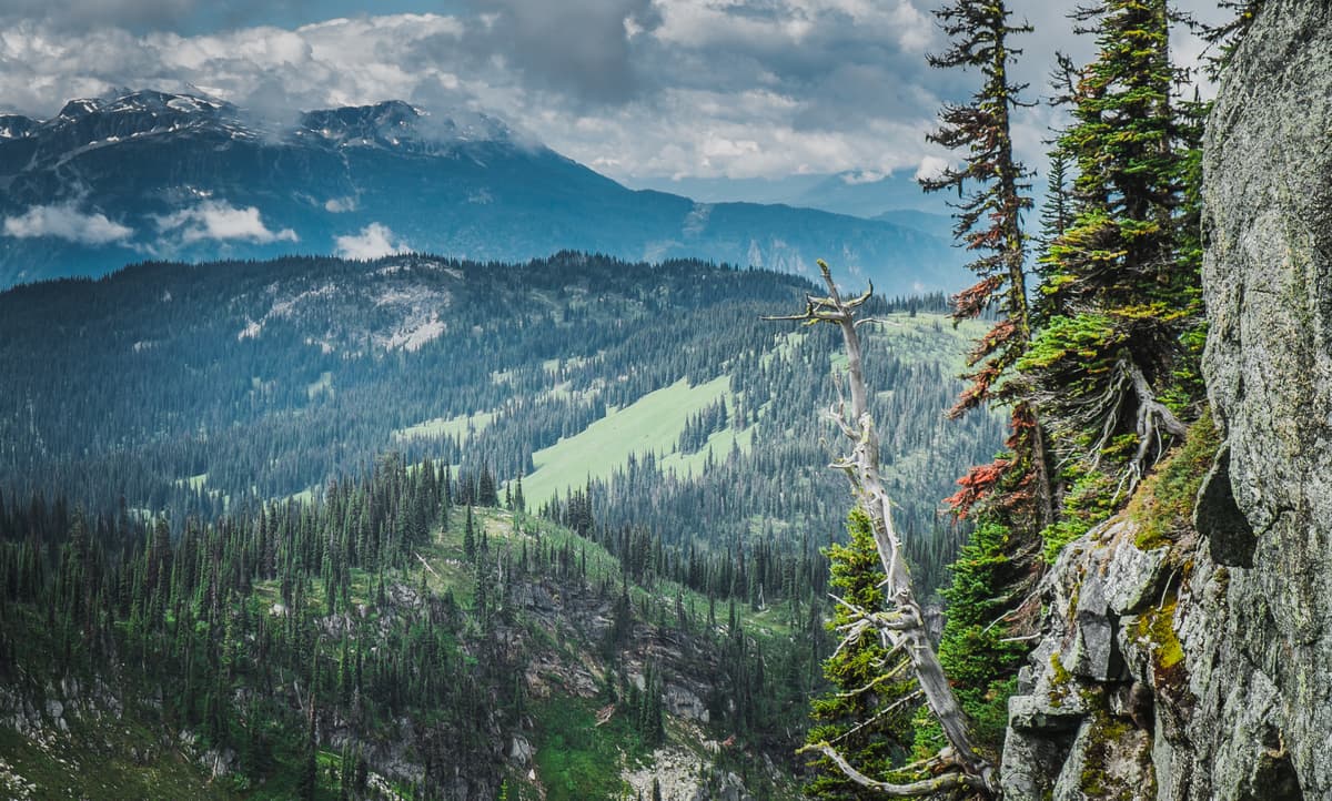 Monashee Mountains