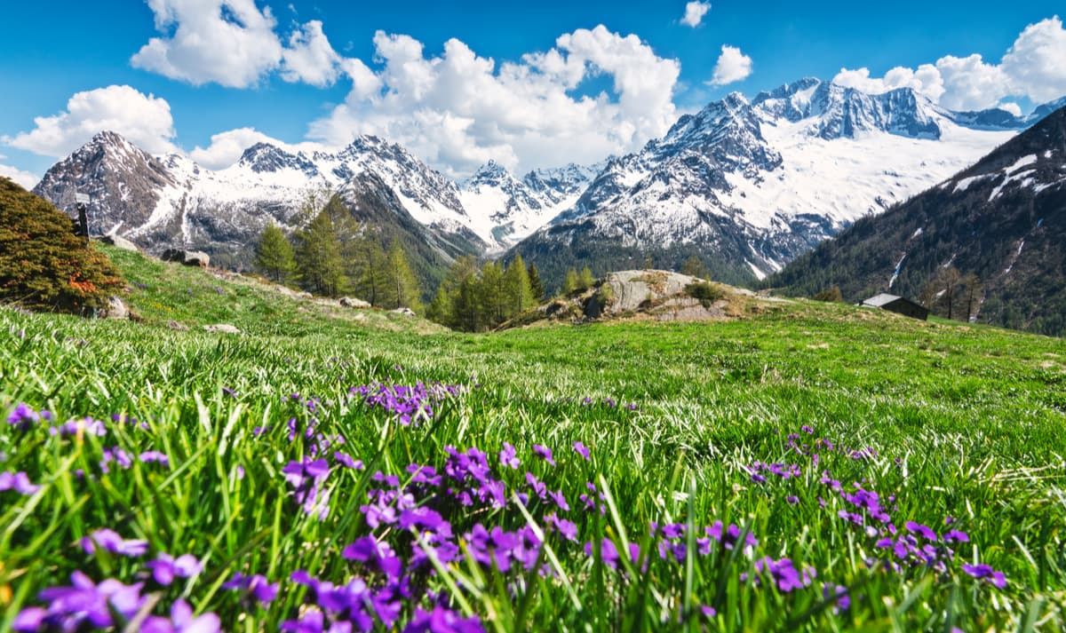 Sondrio province, Lombardy district, Valtellina, Italy