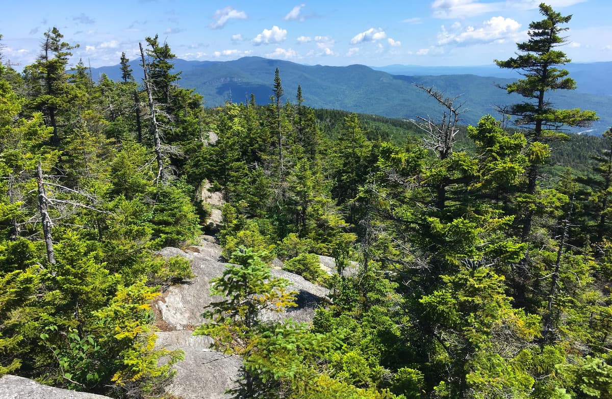 Green Mountains of Vermont as viewed from the Long Trail to Camel's Hump