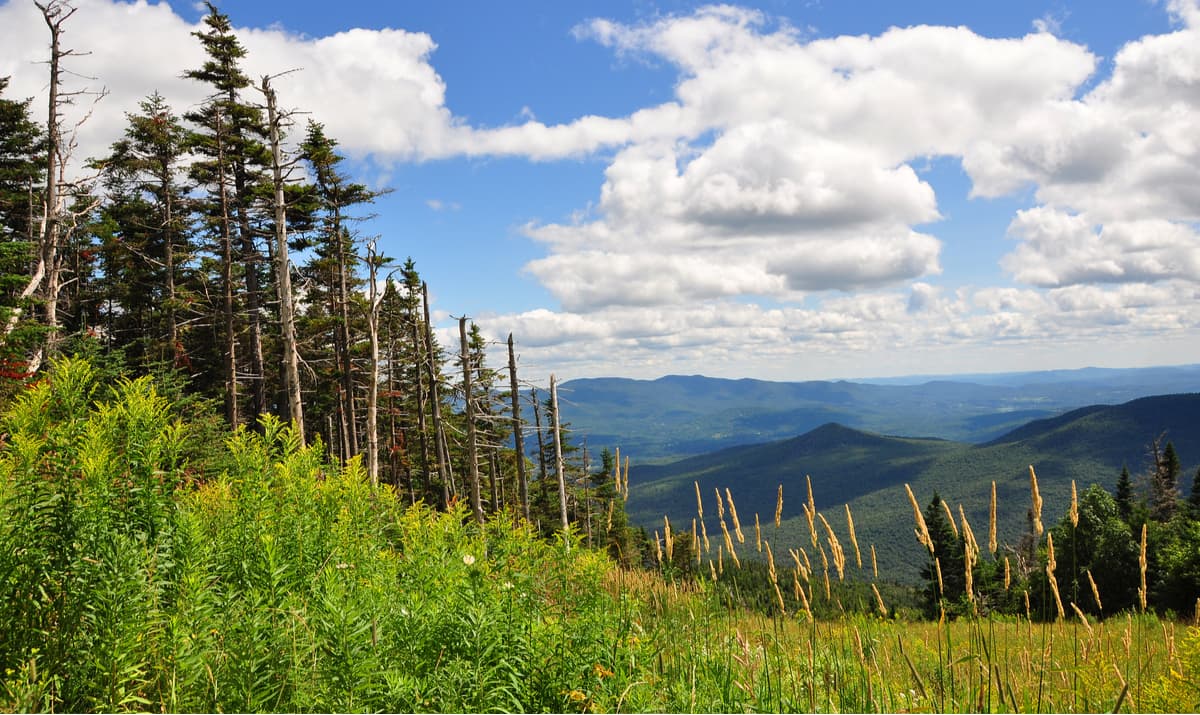 Views from Mt. Mansfield Vermont, Green Mountains