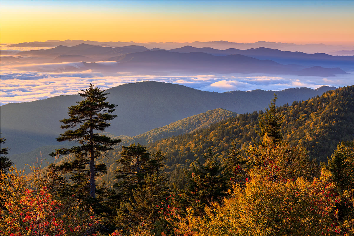 Clingmans Dome