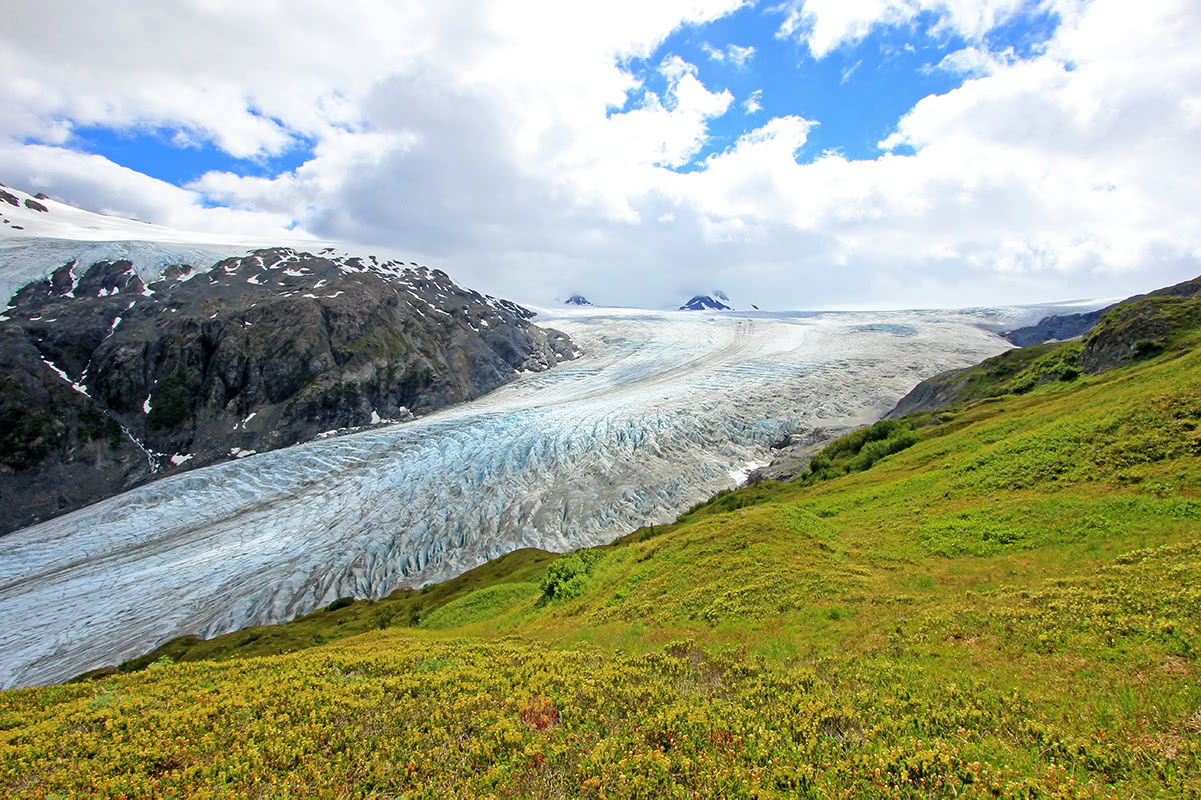 Exit Glacier
