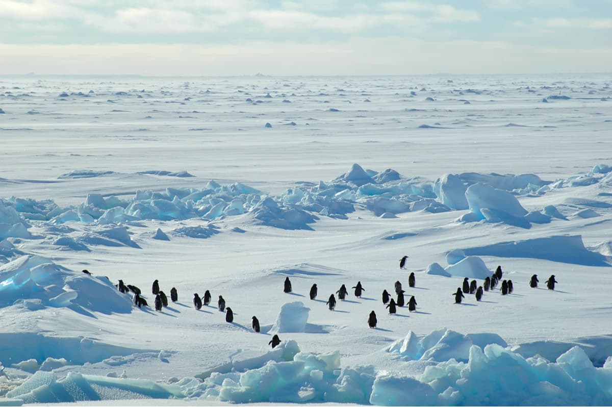 Glacier. Antarctic icescape