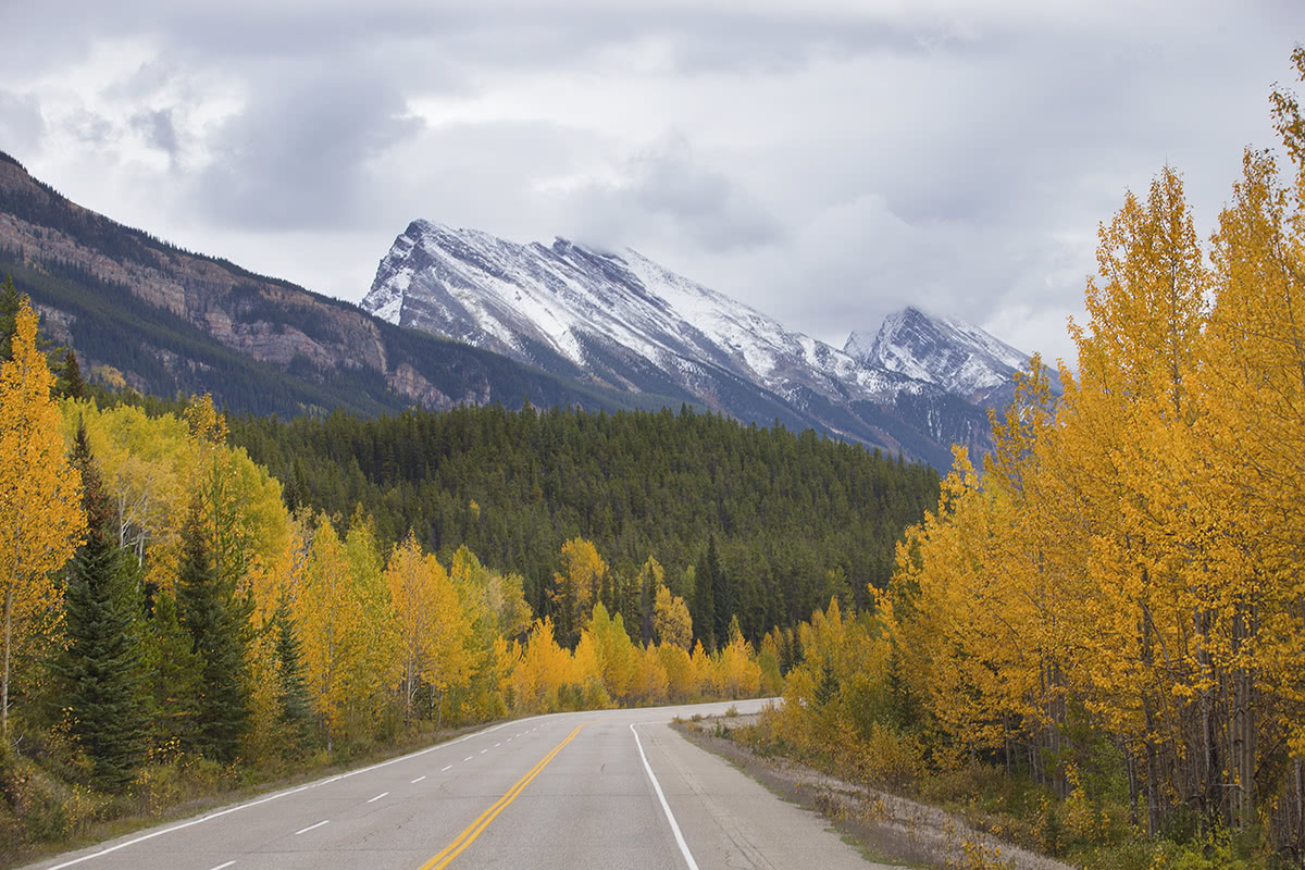 ice field highway