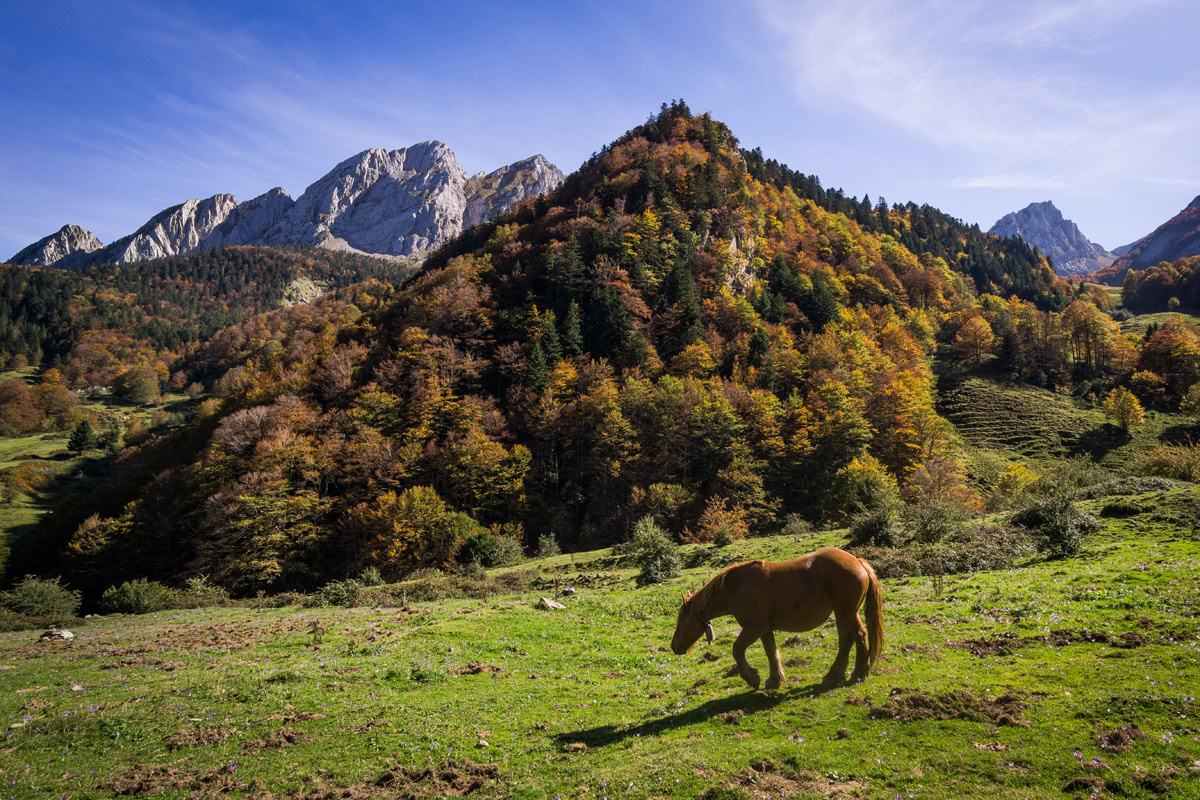 Pyrenees Park
