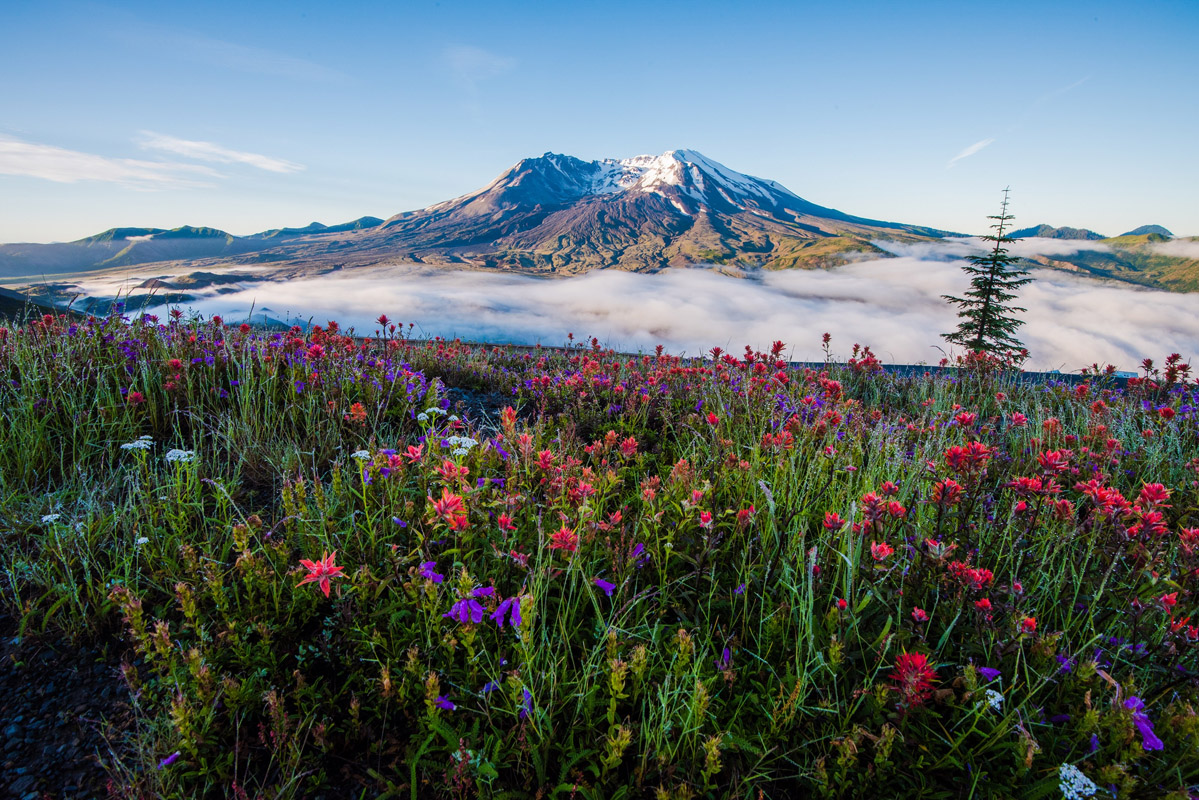 Gifford-Pinchot National Forest, Cascade Range