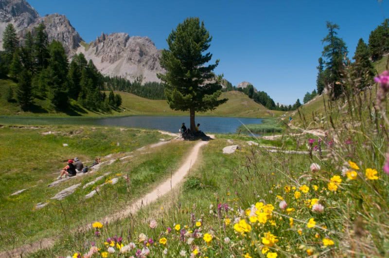 Val d’Escreins - well known for its fauna and fourne