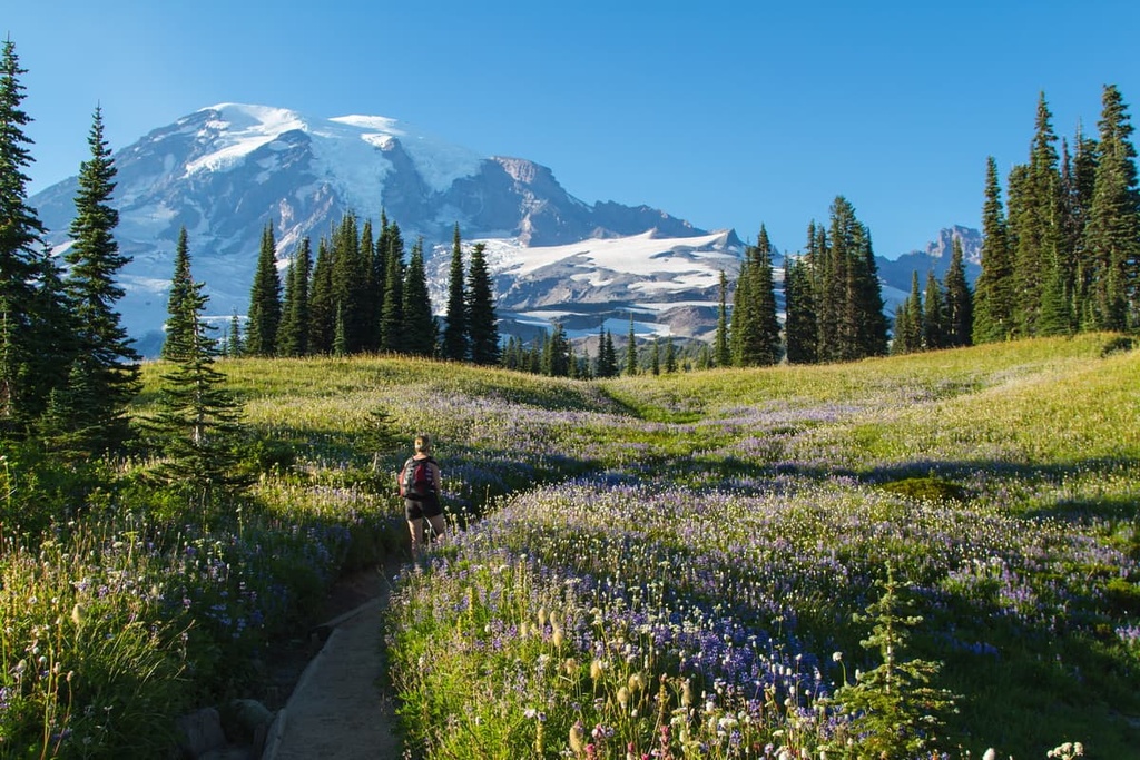 Mount Rainier National Park, Cascade Range