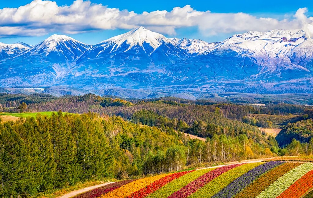 fields Hokkaidō, Japan