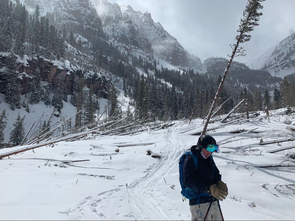 A massive slide during the historic winter of 2018-2019 knocked down hundreds of spruce trees. Photo: Sergei Poljak. Avalanche Safety