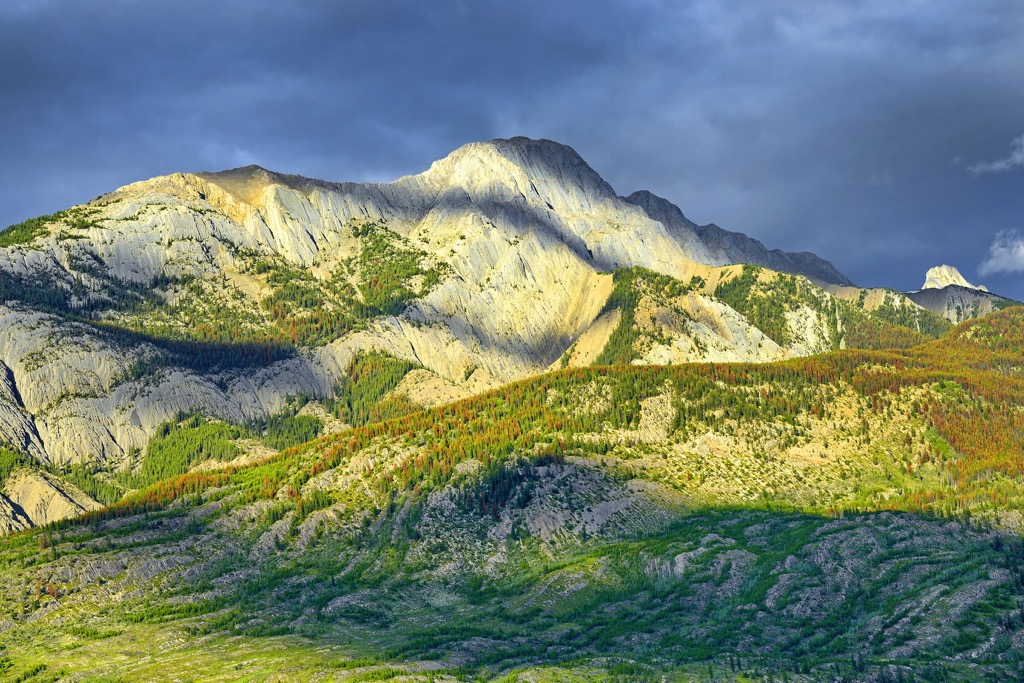 Colin Rangek, Alberta