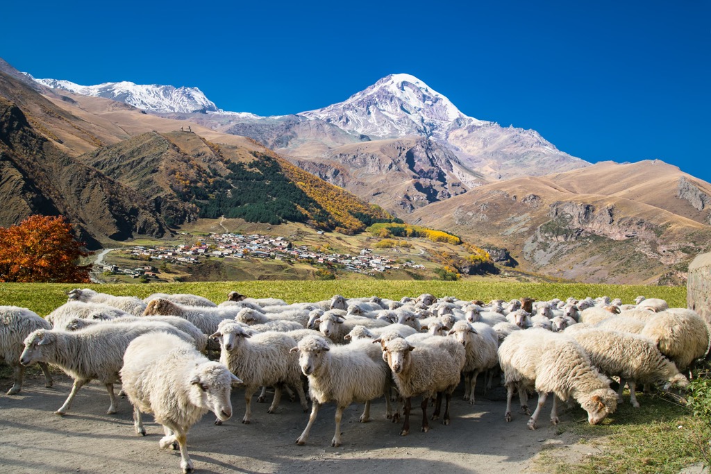Mount Kazbek, Greater-Caucasus