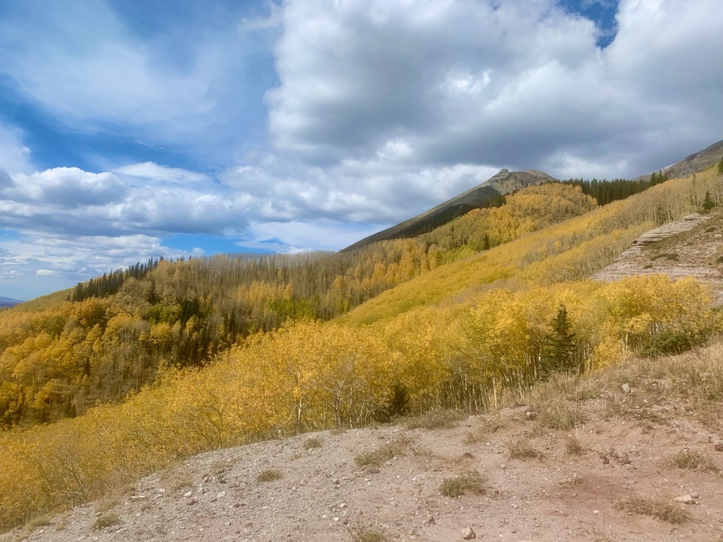 Fall Foliage in the U.S.A
