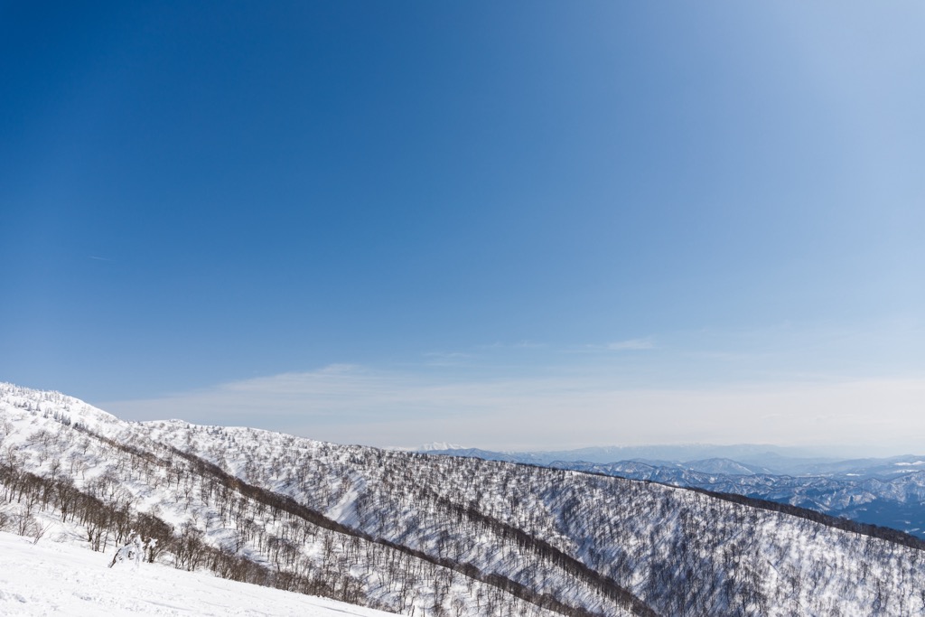 The tree skiing in Ani is the stuff of dreams. Japan Skiing