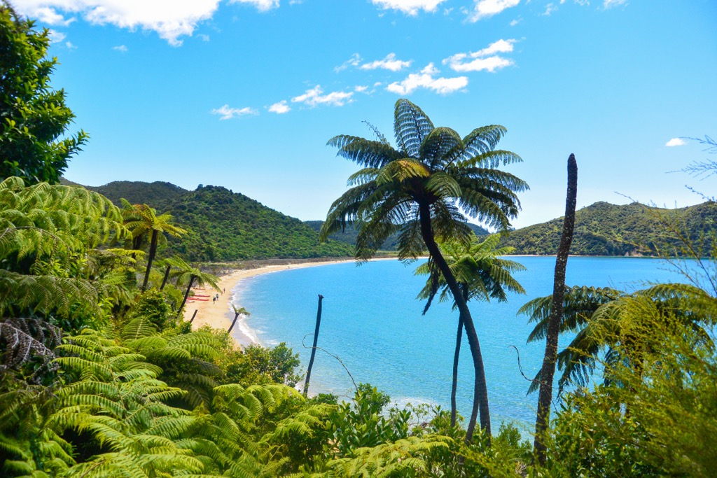Abel Tasman National Park, New Zealand