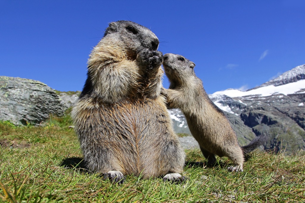 Ötztal Nature Park, Austria