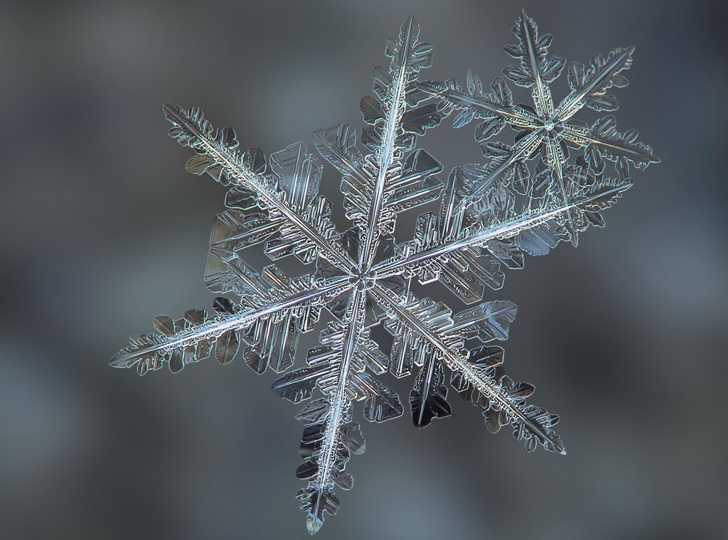The Secrets to Finding the Best Snow Off-Piste.
A stellar dendrite showing beautiful crystal structure.