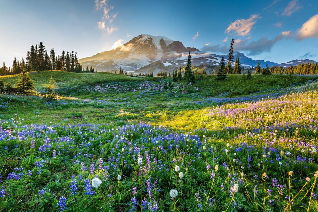 Mount Baker, Cascade Range